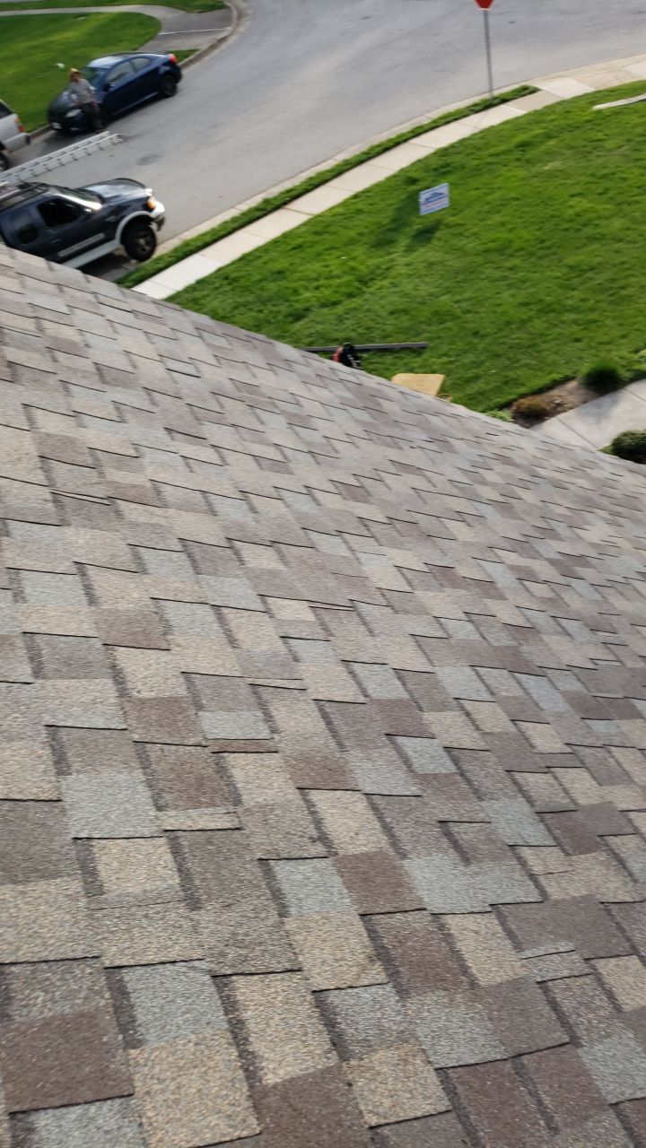 Springfield Certainteed Landmark Pro Designer Shingles by RM Banning, Inc.