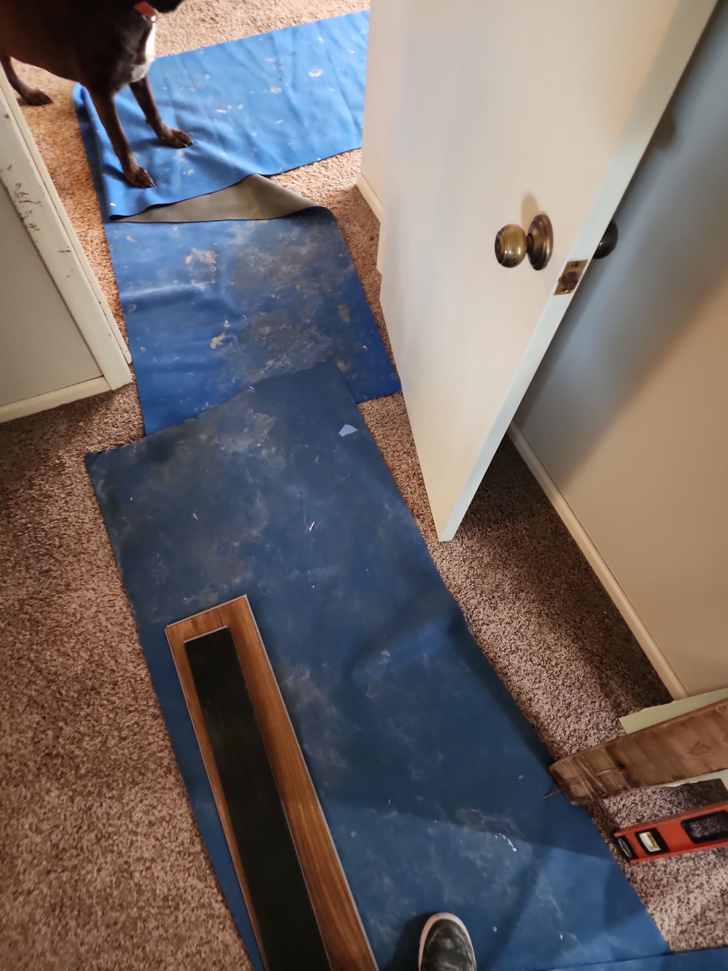 Bathroom Remodel using Acrylic by The Shower Company