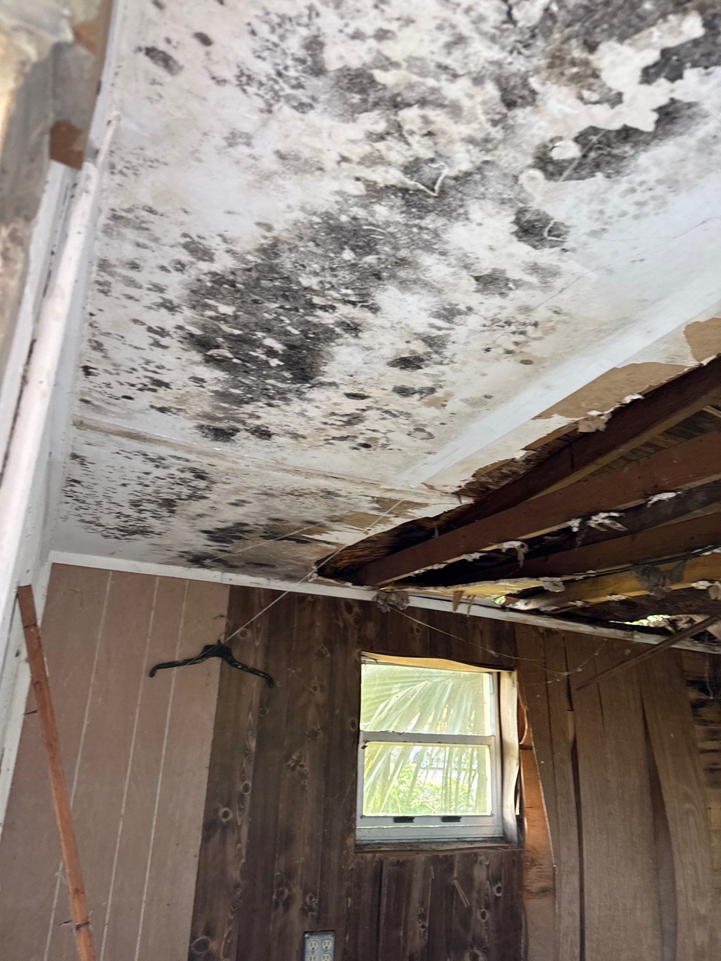 Residential Roof Replacement With Pinnacle Shingles in Daytona Beach by Pinnacle Roofing Group