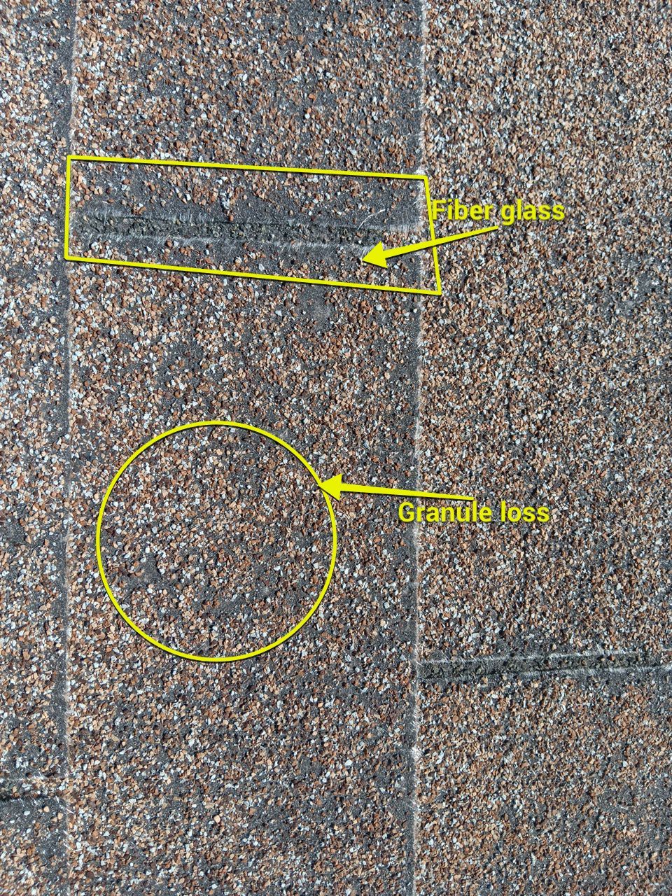 Estate Gray Shingles by Reimagine Roofing