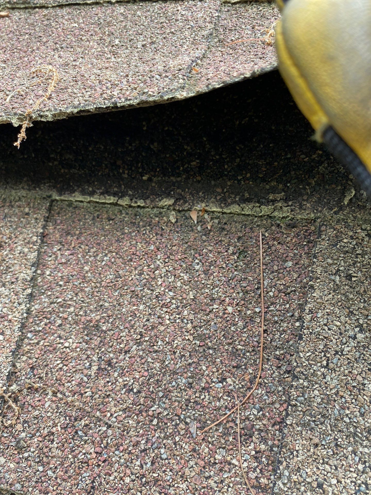 Roof Replacement & Skylight Installation in Bedford, MA by Mighty Dog Roofing of Greater Middlesex County