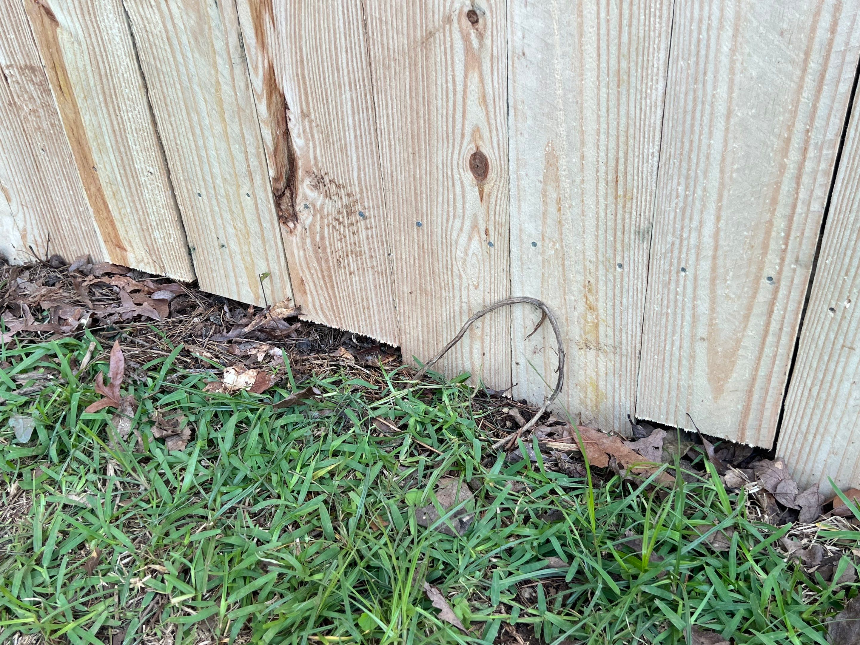 Royal Knoll Lane - Fence Installation  by Pillar and Pine