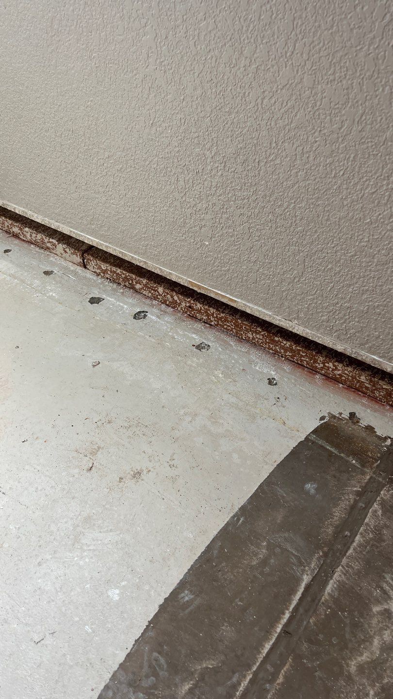 Mold Remediation  by Accountable Home Services