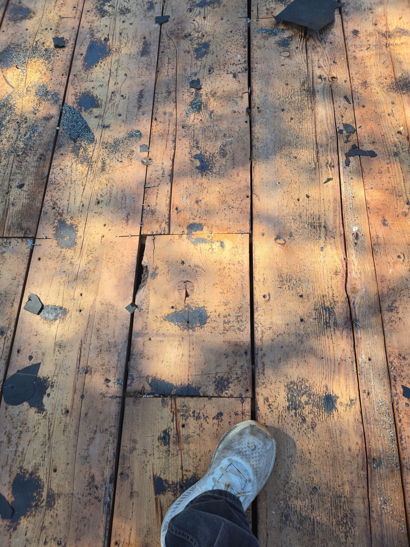 Project in St. Petersburg 33705 by Mitchell Roofing Company LLC 