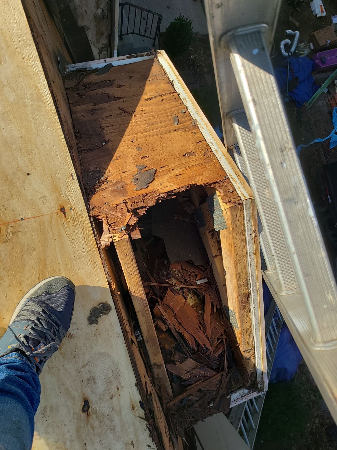 Alexandria: Residential Roof Replacement with CertainTeed Landmark Pro in Max Def Georgetown Gray by RM Banning, Inc.