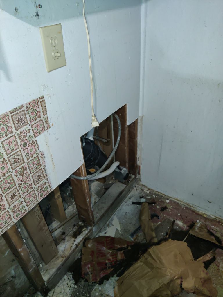 Mold Remediation in Basement by Accountable Home Services