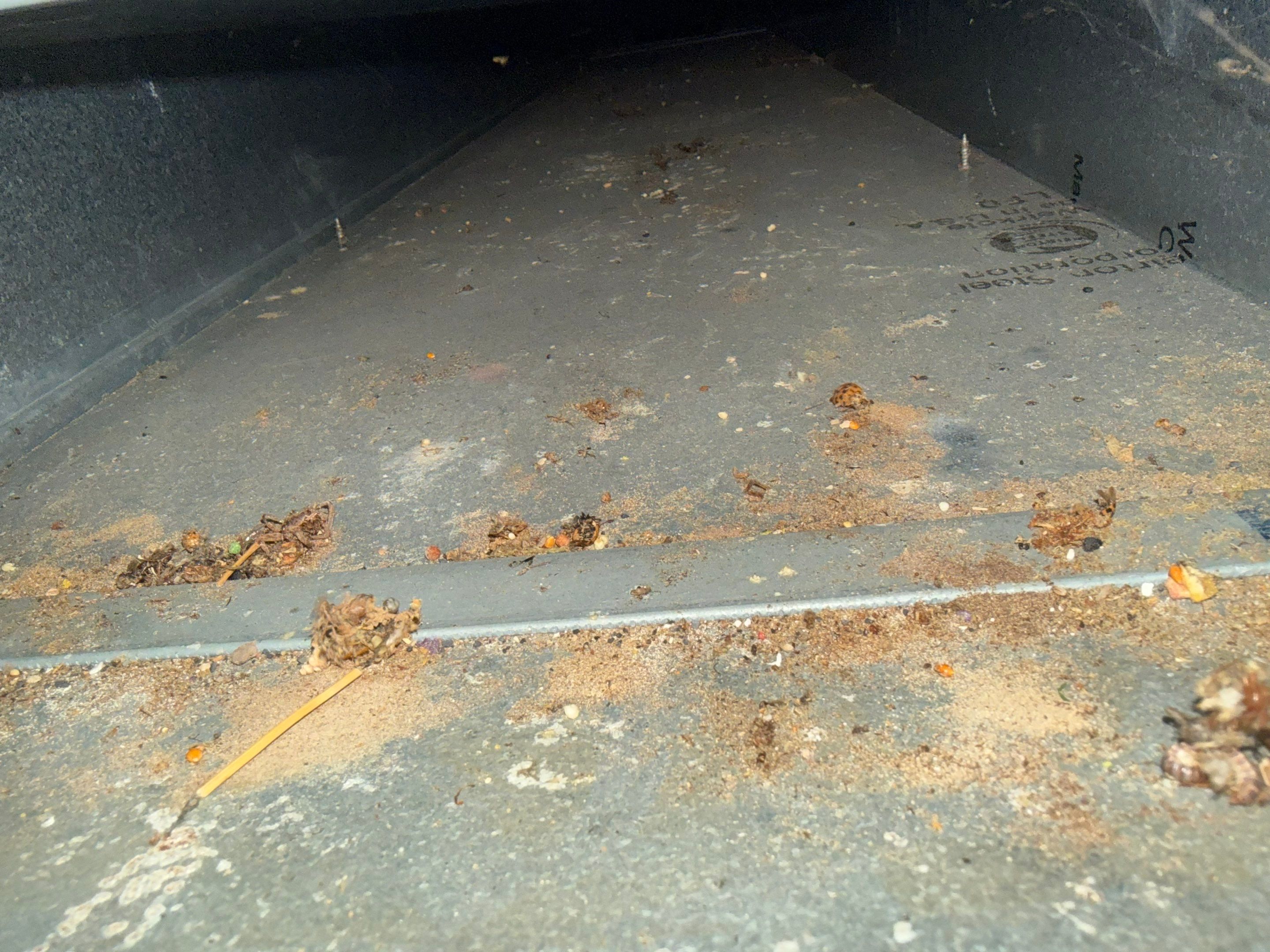 Duct Cleaning and Sanitization. by Elemental Heating and air conditioning LLC