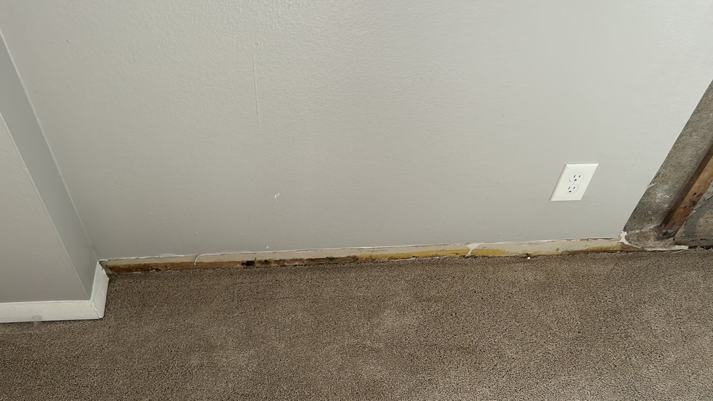 Mold Damage Repairs by Accountable Home Services