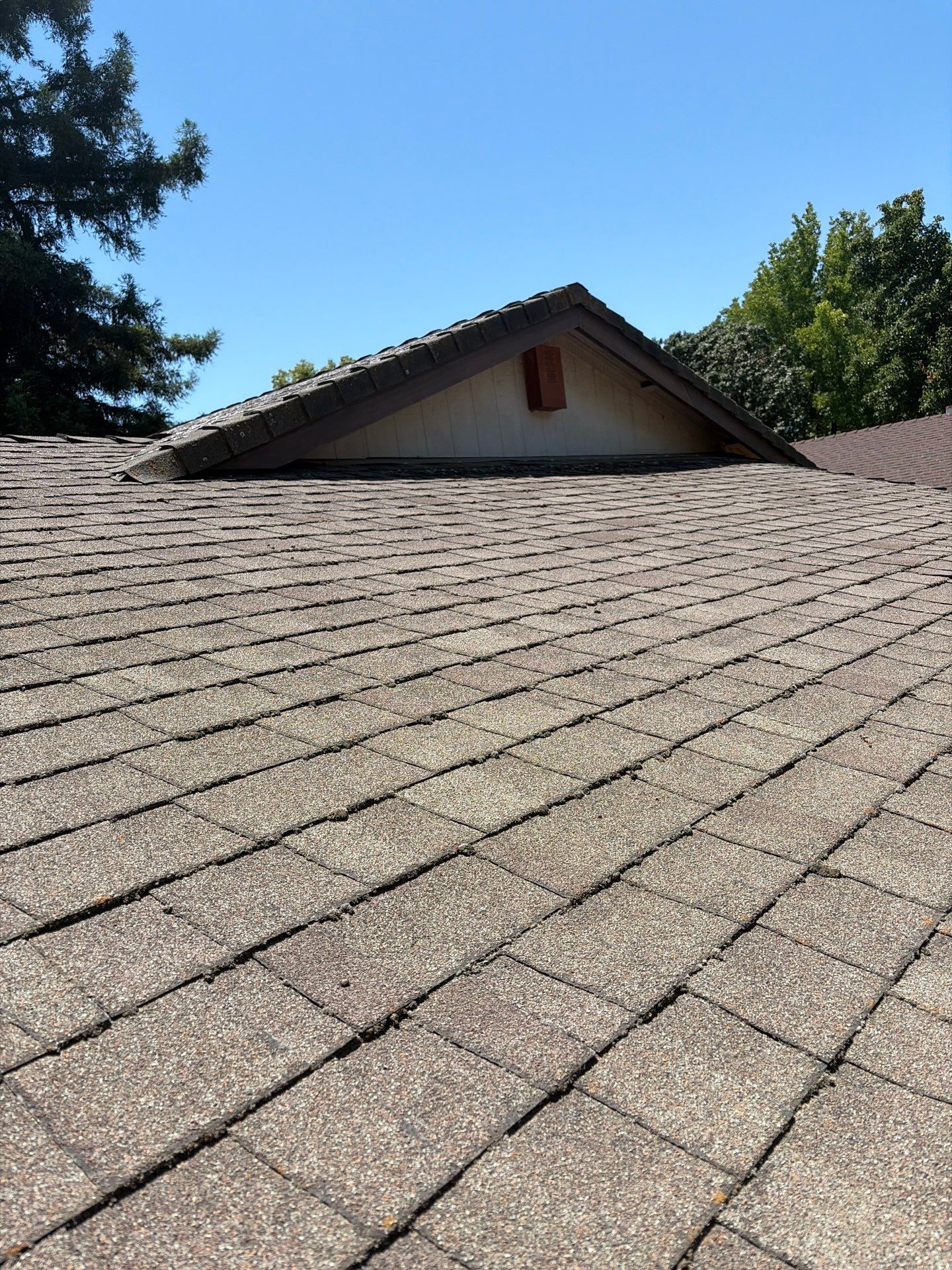 Roof Rejuvenation using Roof Maxx Treatment by Roof Maxx of Folsom