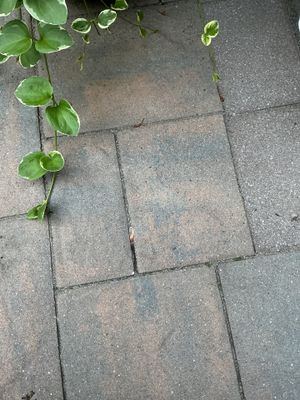 Gutter Cleaning in Budd Lake, NJ — Gallo Bros job photo