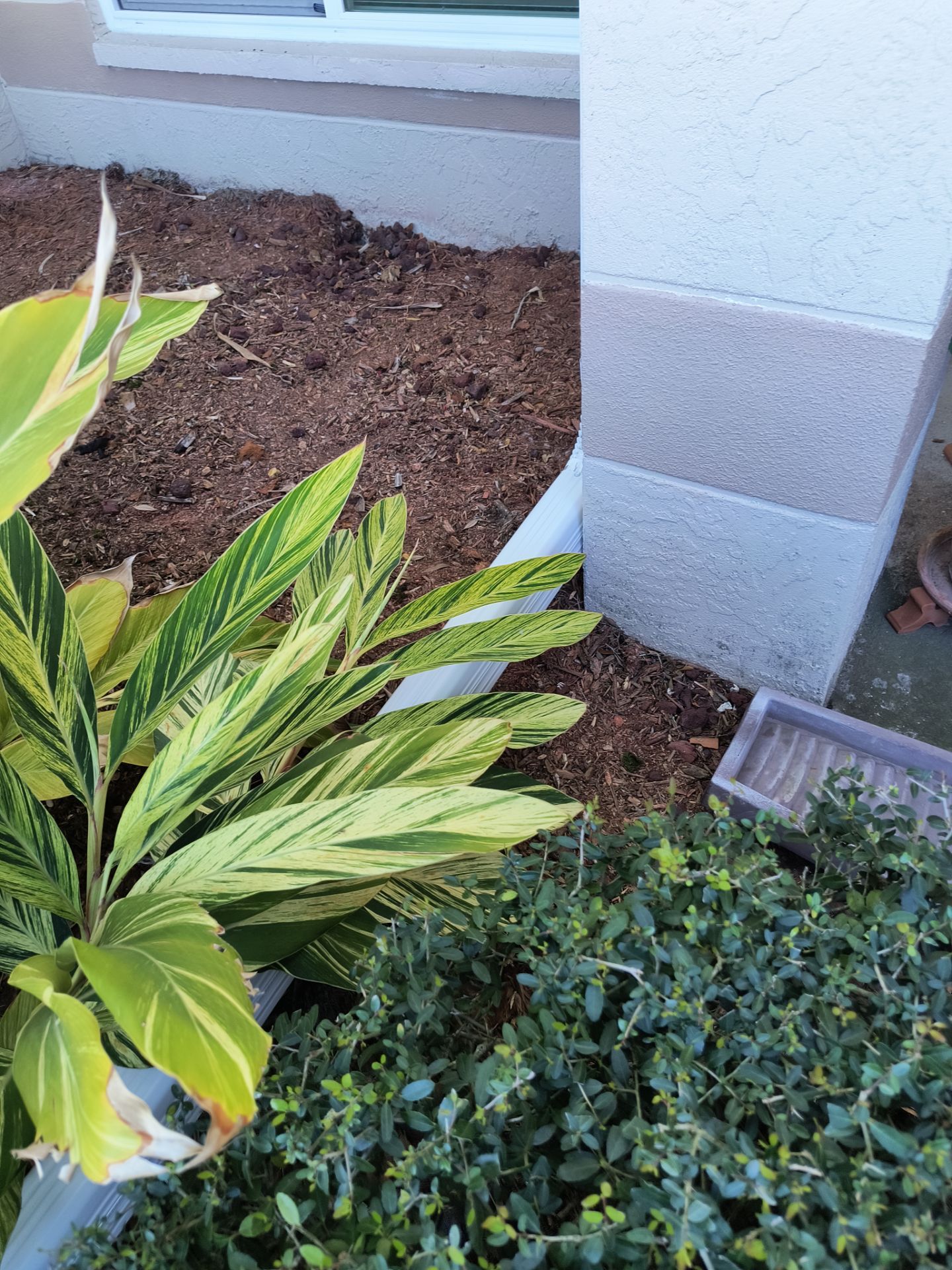 White Seamless Gutters using 6 Inch Seamless Gutters in Sarasota FL by Gutter Professors