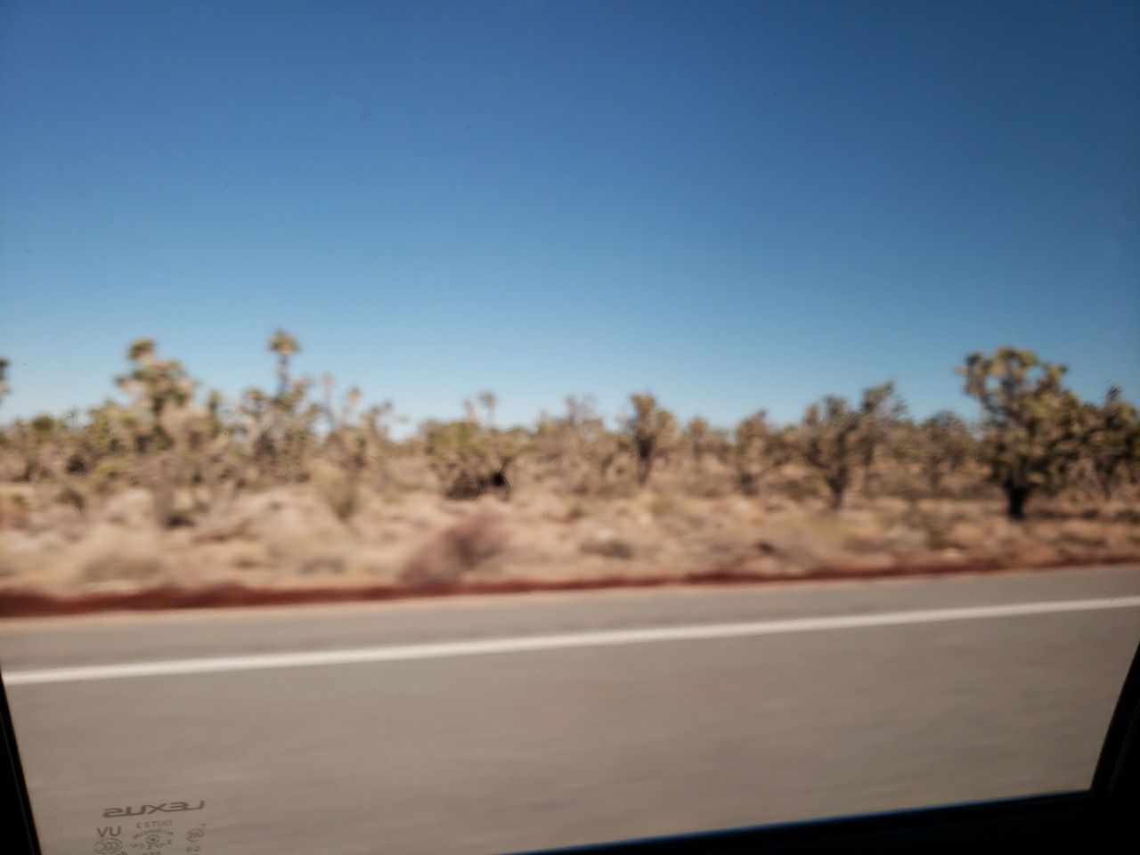 Visiting my Brother in Arizona by Power Wash Masters LLC