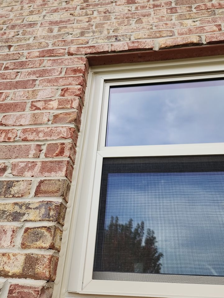 Roof and Windows! by Tamlin Roofing