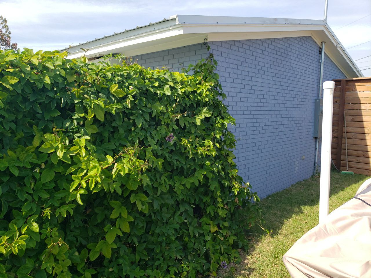 Gutter Installation using K-Style Seamless Gutters and Soffit and Fascia Replacement by Gutter Professors