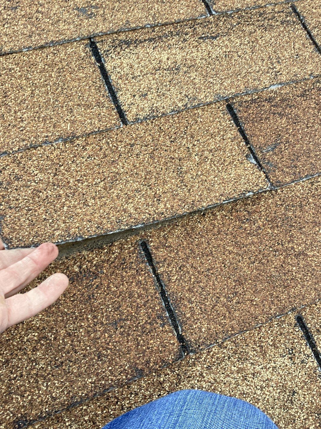 Larry's Full Re-Roof by All Storm Roofing & Construction