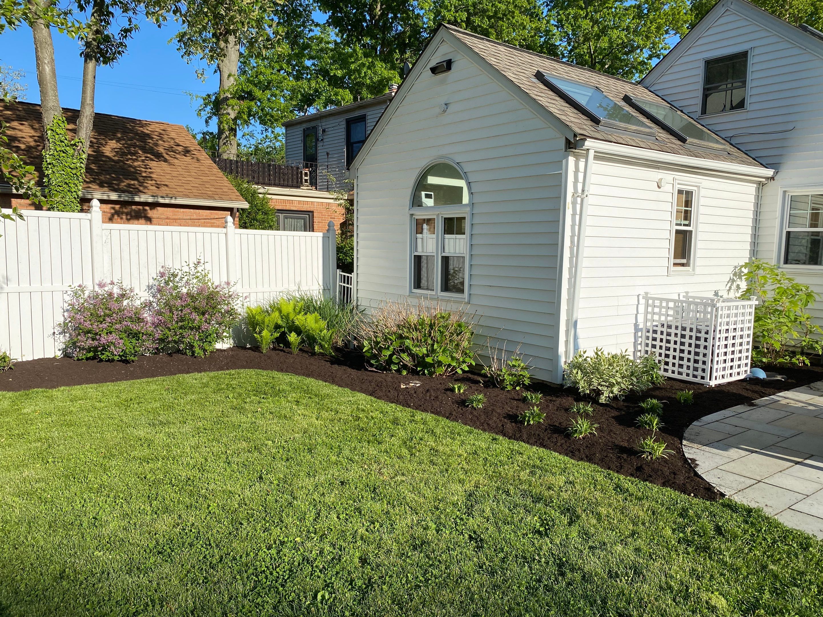 River Birch Maintenance by Elm Rose Gardens