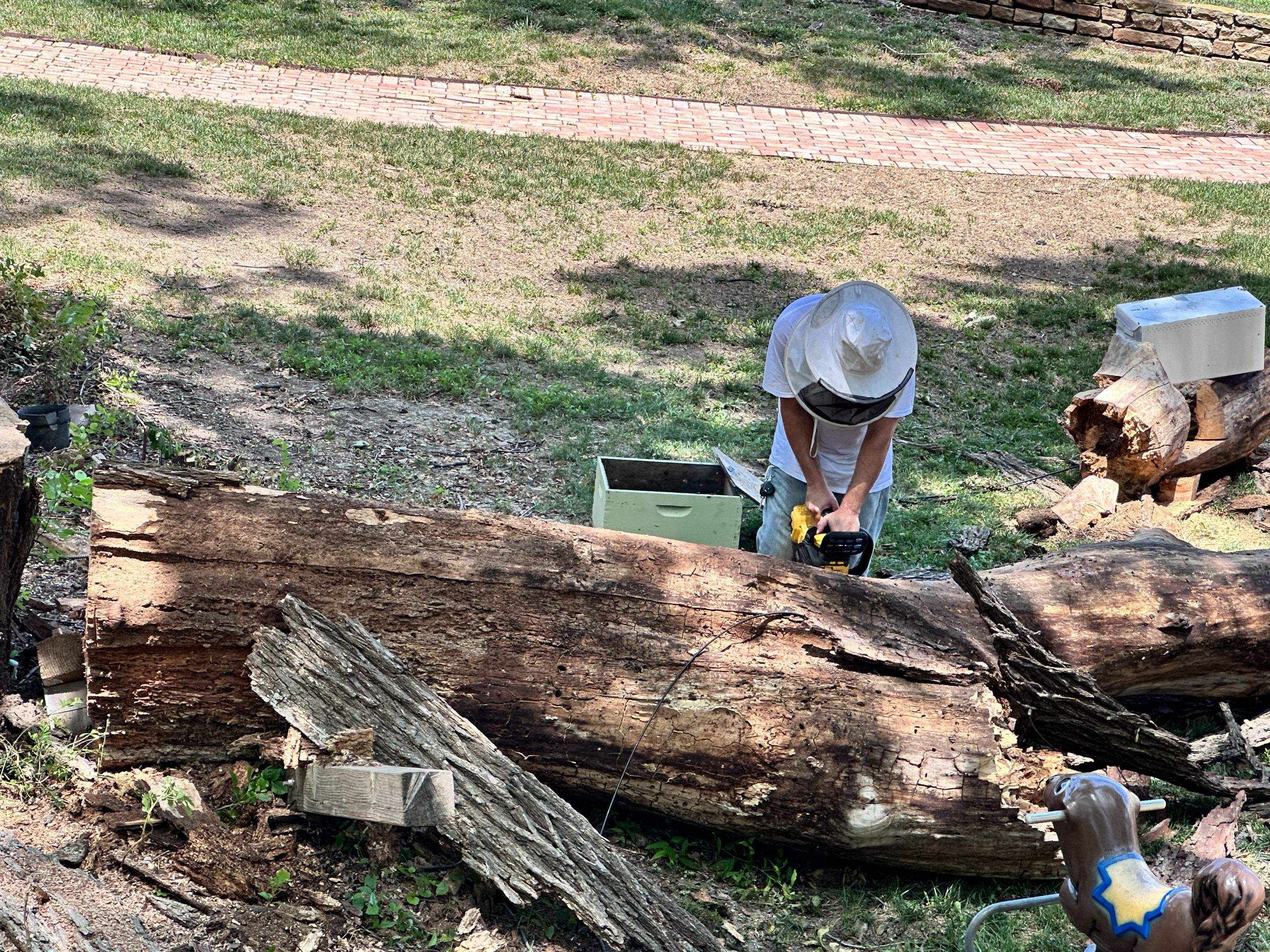 Two More Trees, One More Yard by Rockwall Honey Bee Company