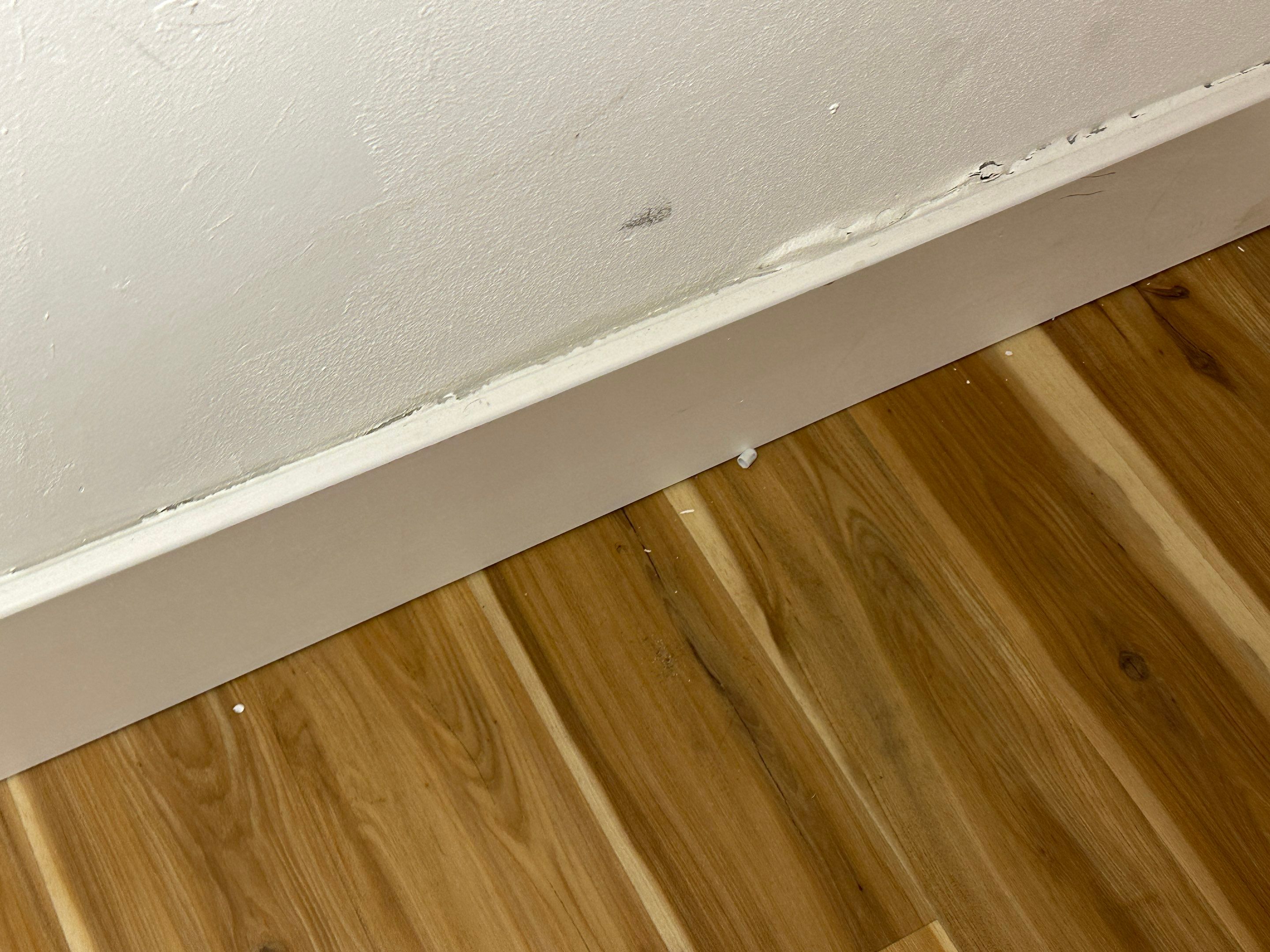Water Damage Claim in Apt 910W • Miami by FLAPA & KeyStone