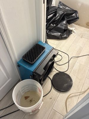 Flood Damage Cleanup — Bonita Springs, FL