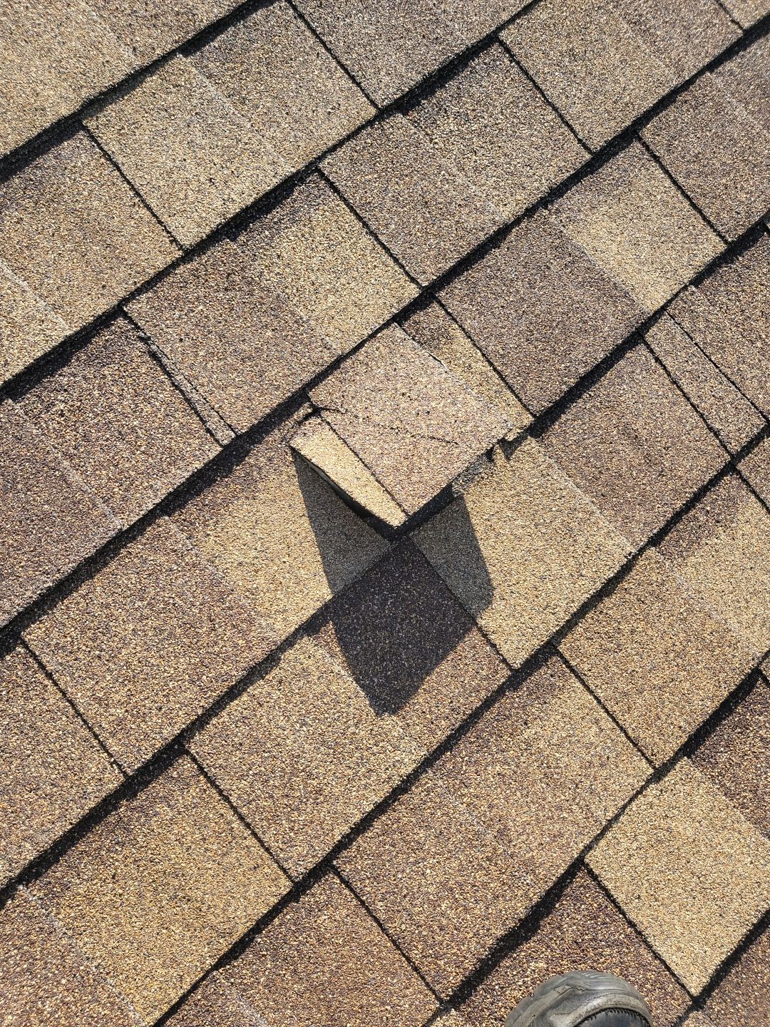 ATLAS PINNACLE COLOR: MORNING HARVEST by Eagle Eye Roofing