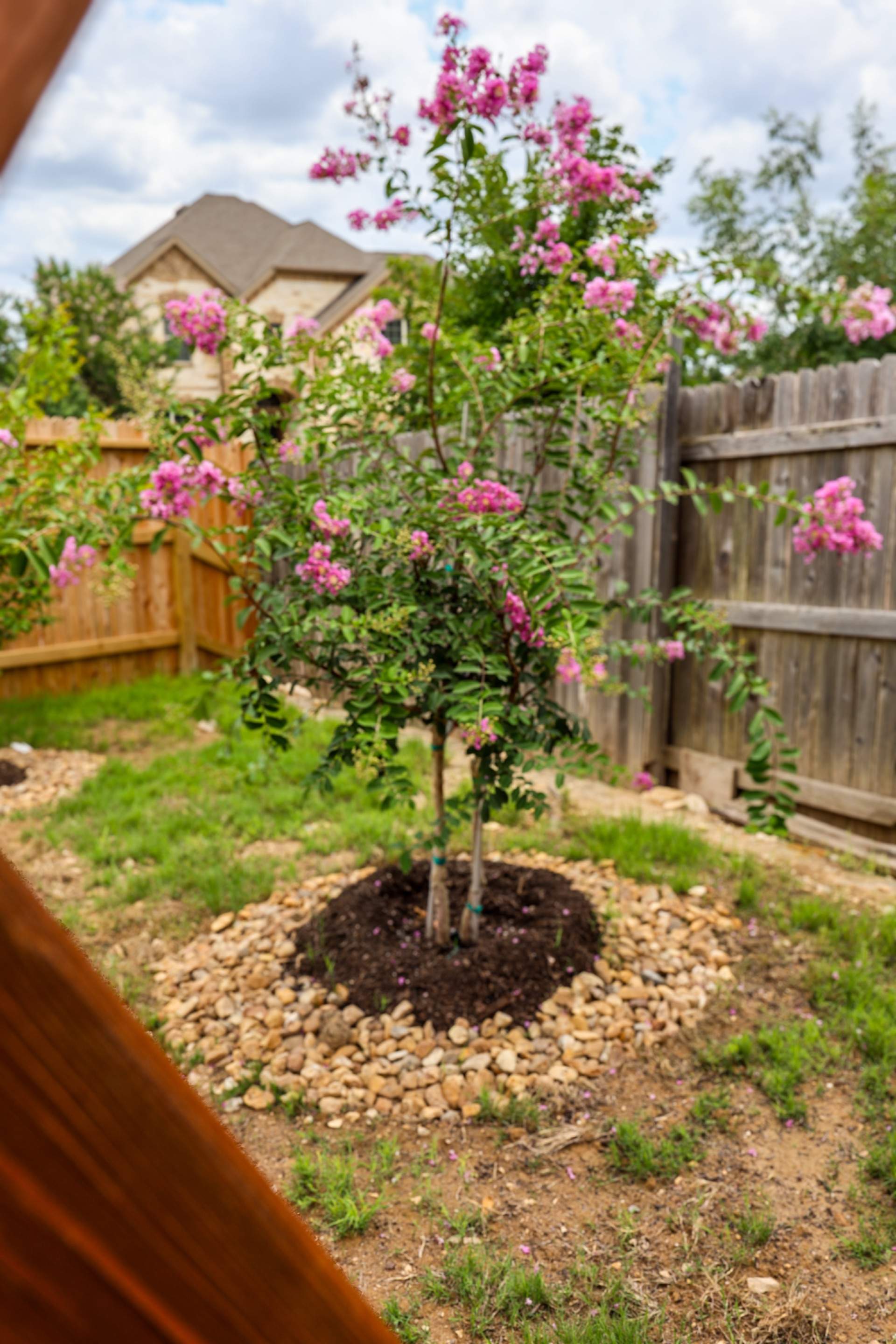 Indian Springs - San Antonio, TX by Hole In One Lawns, LLC
