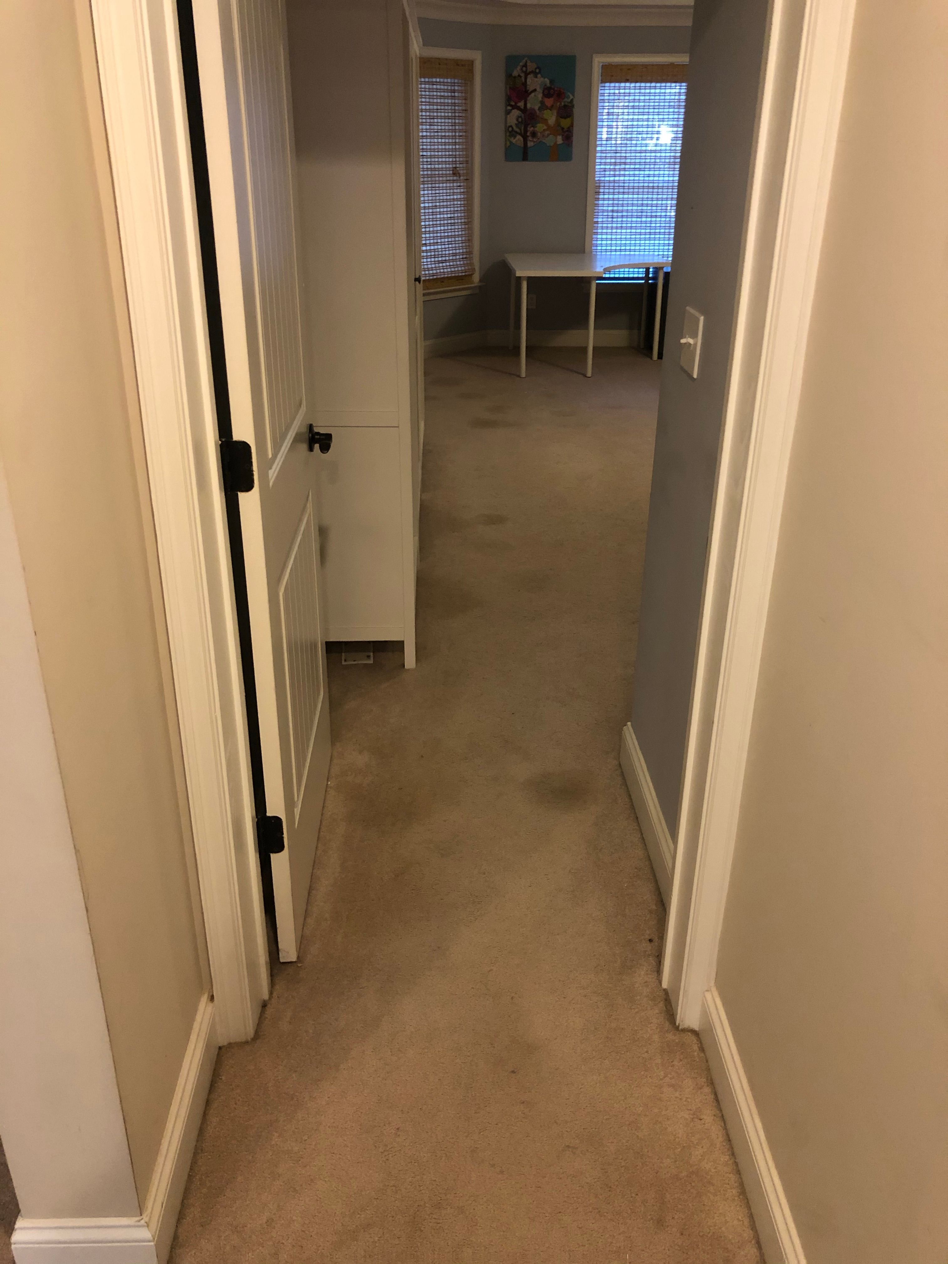 Comprehensive Basement Finishing Featuring Custom Tray Ceilings in Canton by Swift Home Renovations