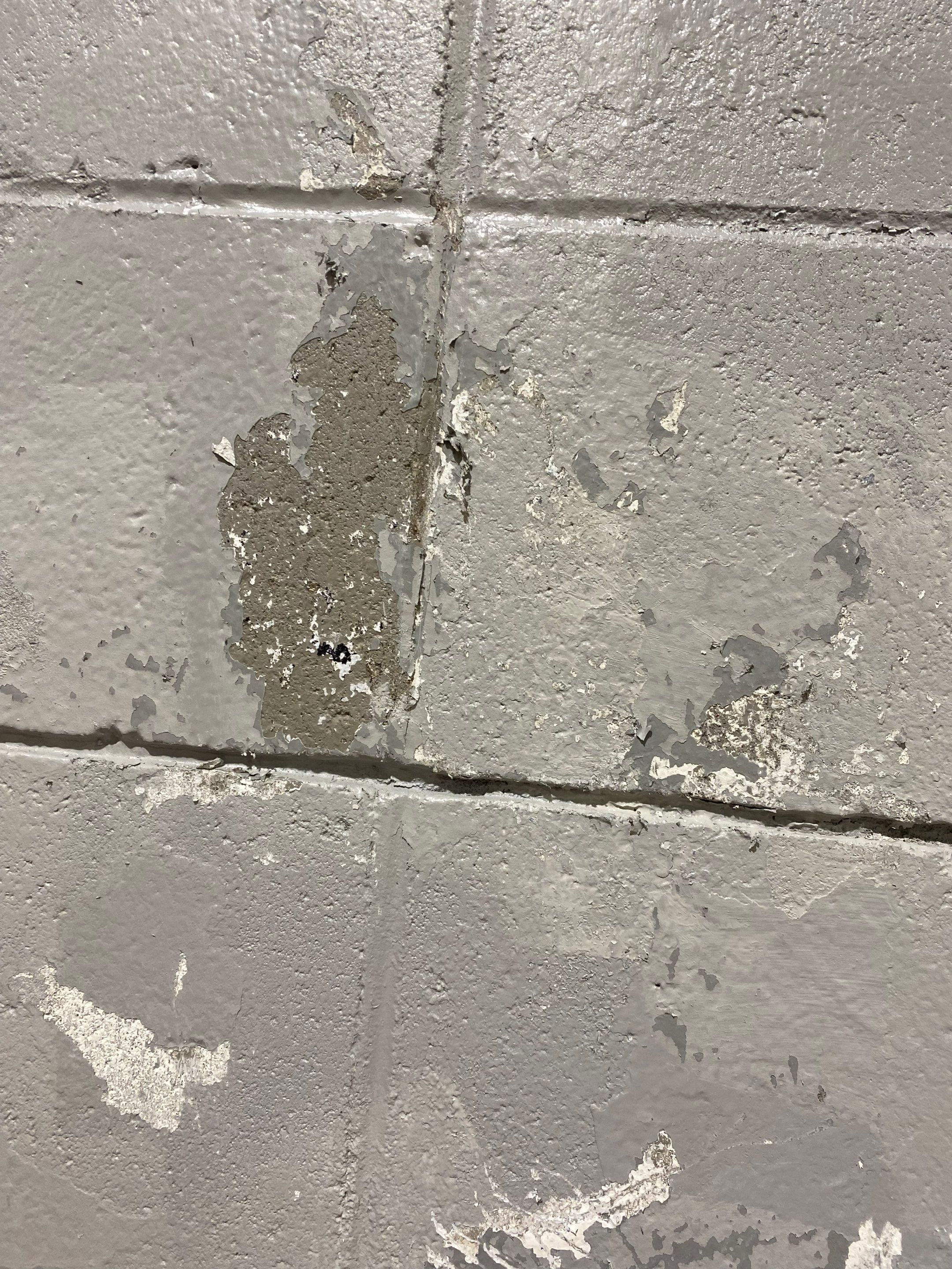 Discount Tire Remodel by Midwest Paint LLC