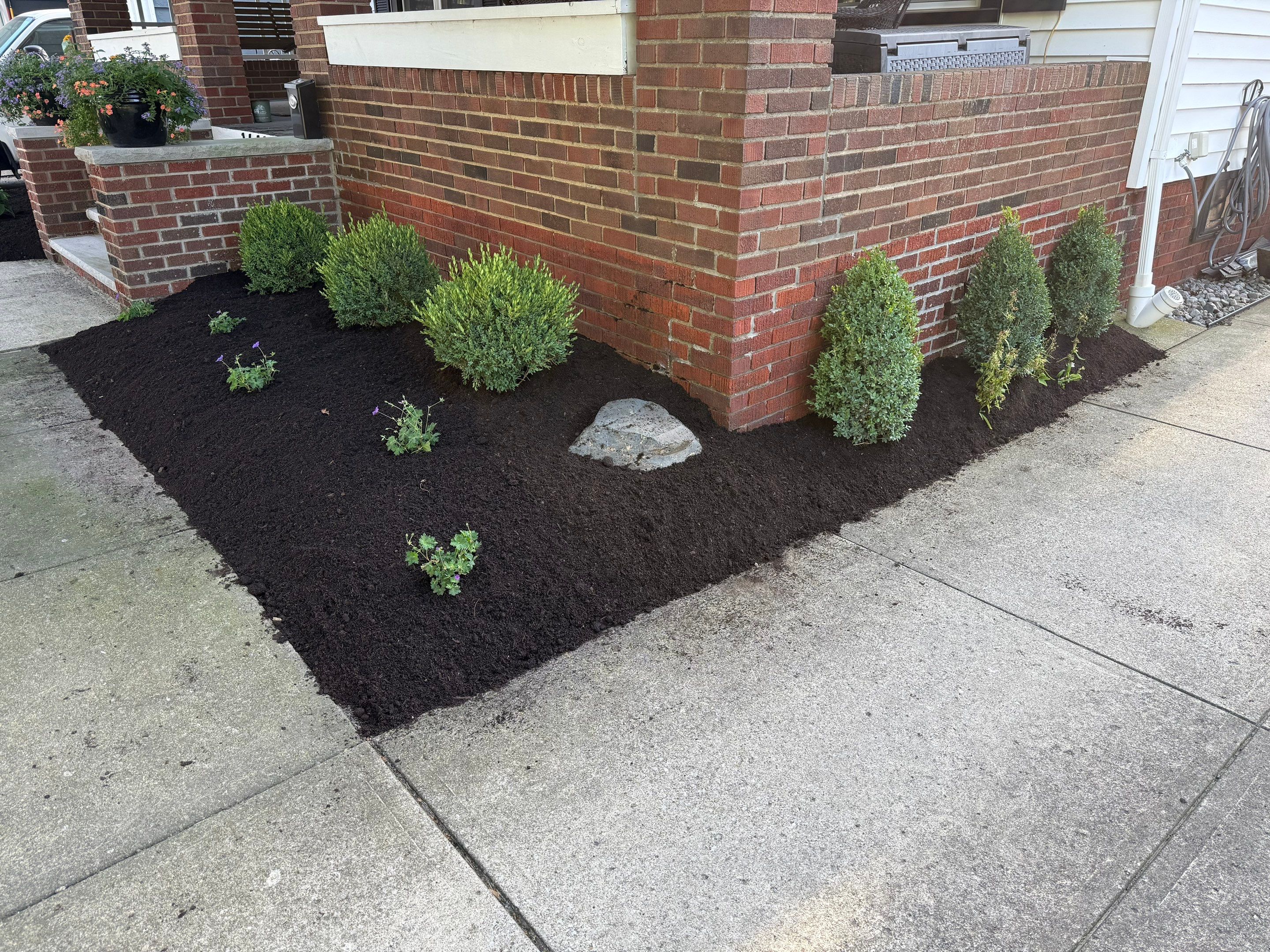 Modern Magnolia Project by Elm Rose Gardens