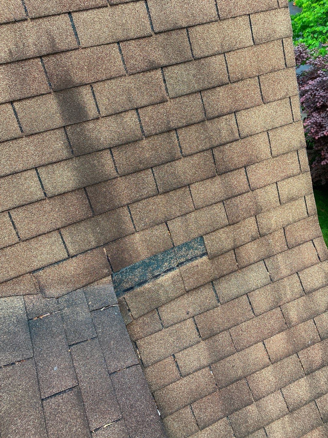 Arlington: CertainTeed Landmark Pro Designer Shingles in Max Def Shenandoah by RM Banning, Inc.