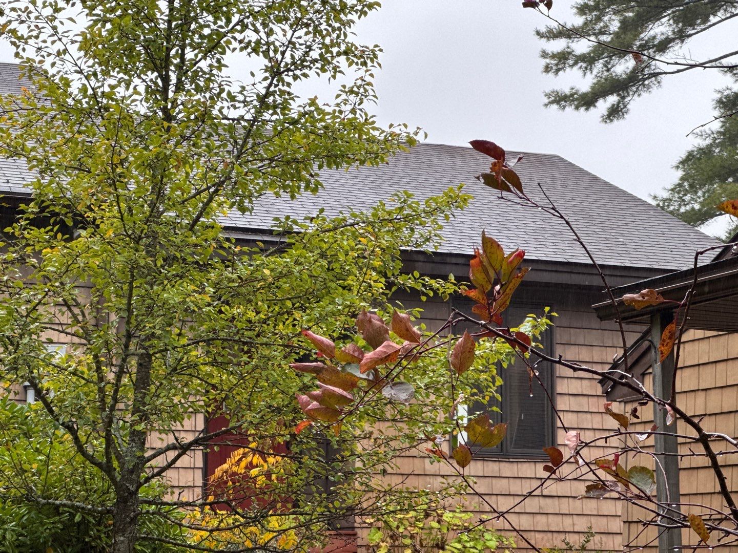 Revitalize Your Home with a New GAF Roof, Velux Skylights & Solar-Powered Shades! by Sensible Home Solutions
