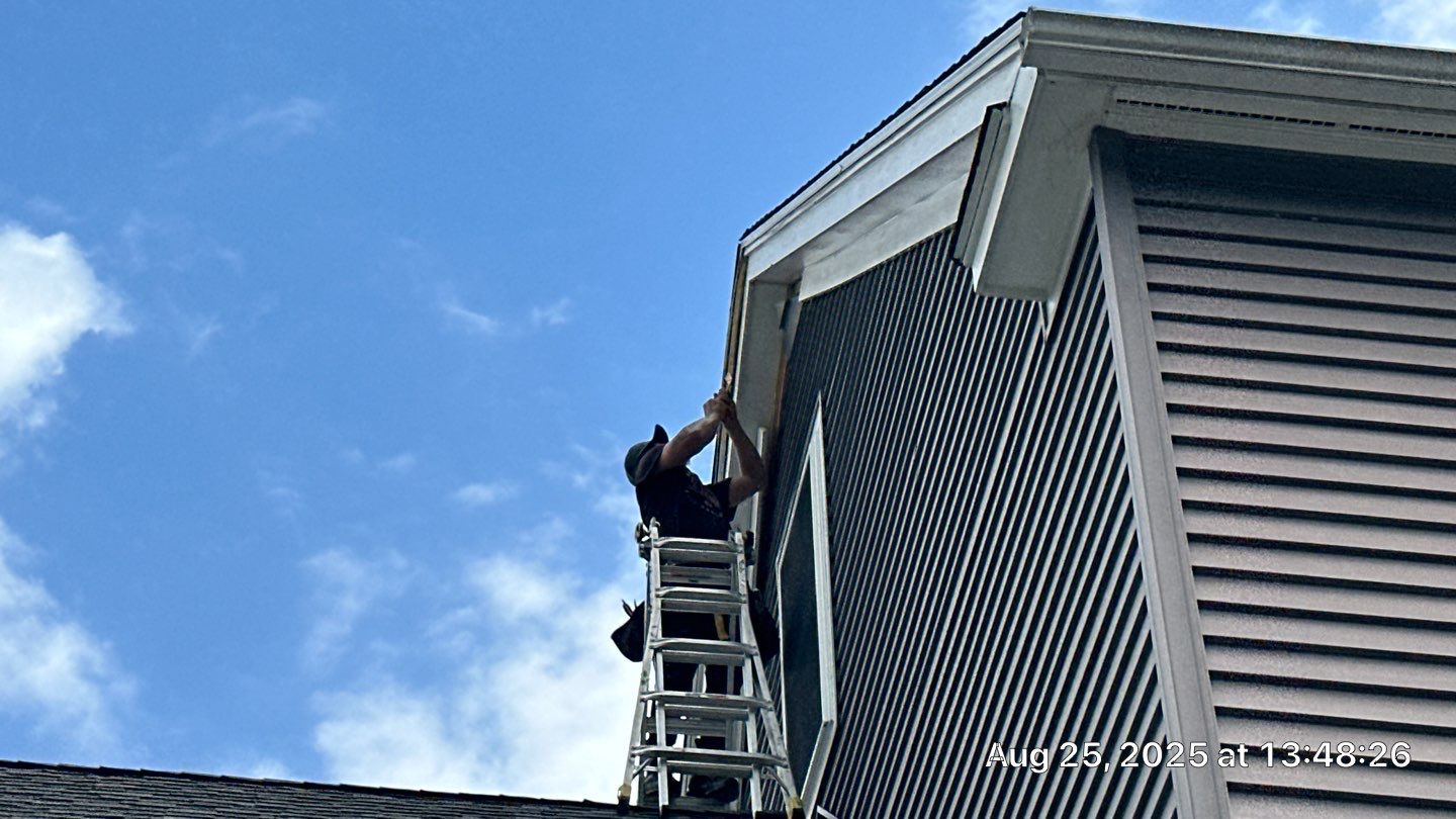 Roof, Trim, Deck, and Gutter Restoration by Mighty Dog Roofing of Greater Middlesex County
