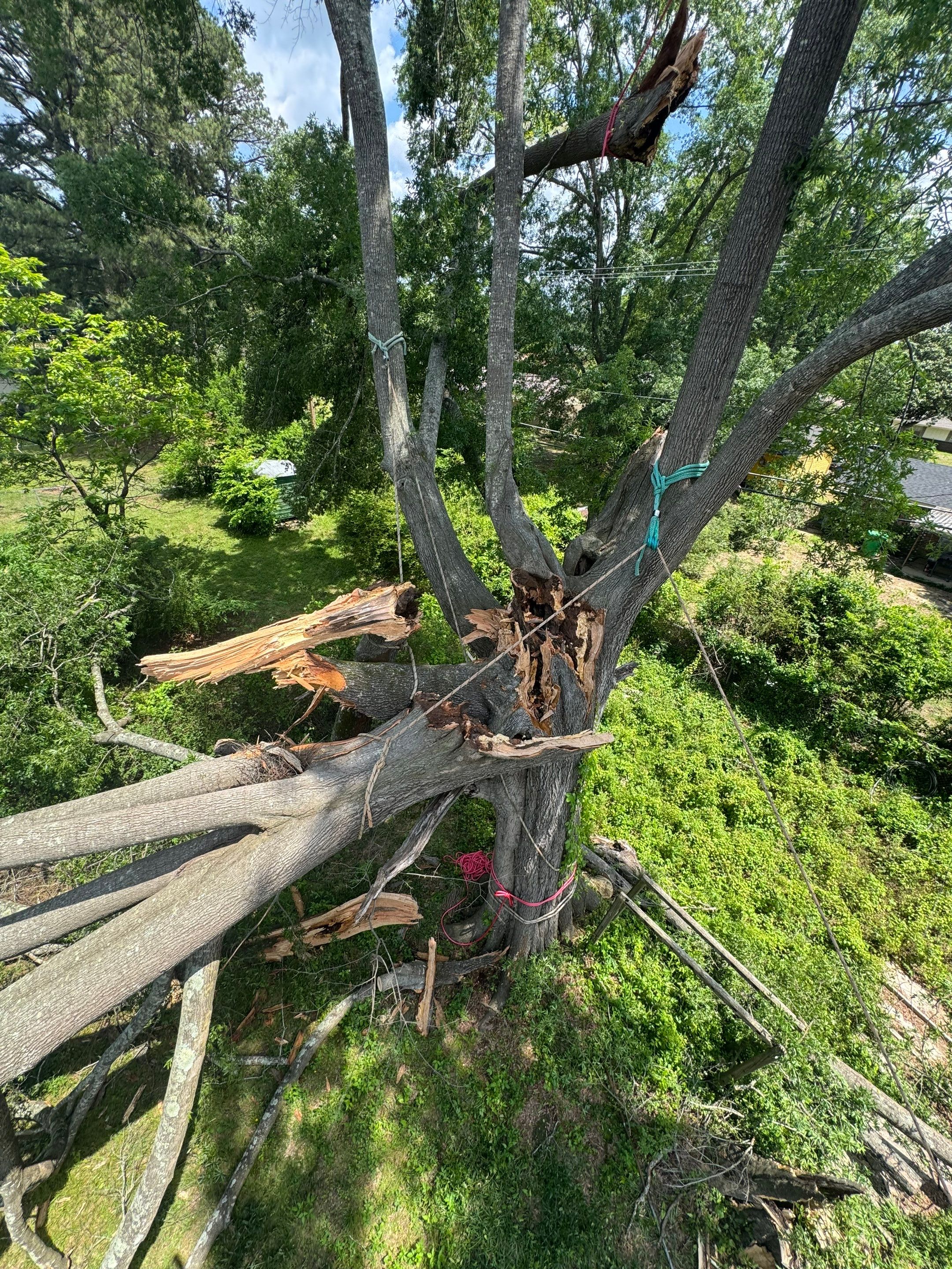 Disaster Relief Using 100-Ton Crane and DinoLift by American Arbor
