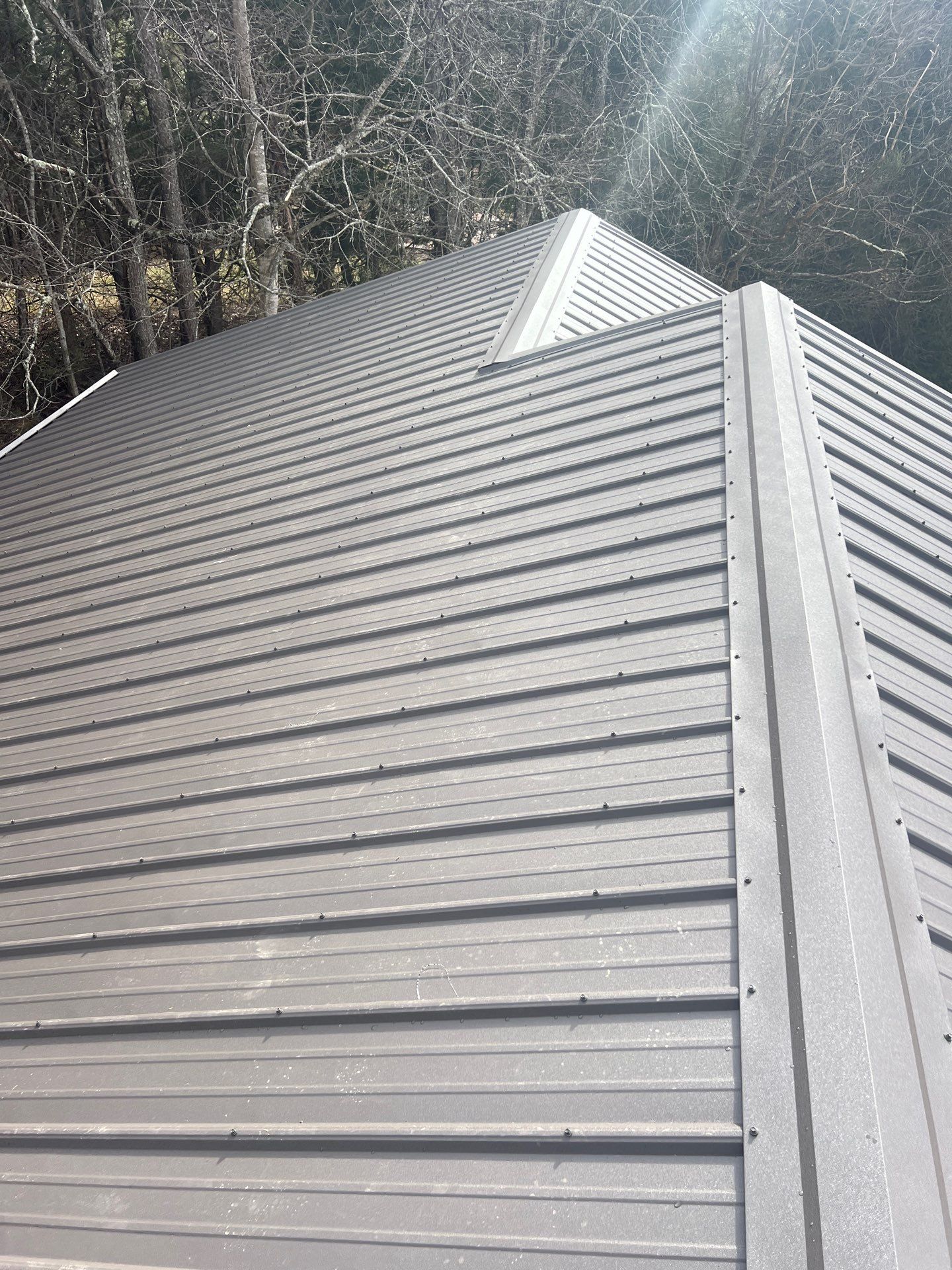 Beam Residence by Omnia Roofing