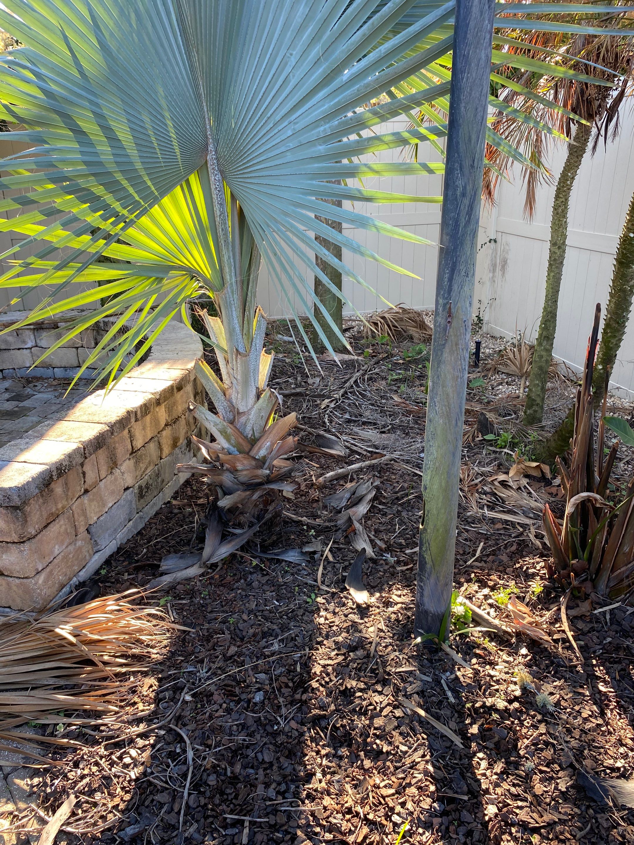 Residential | Mulch and Rock Install by ProGreen Services