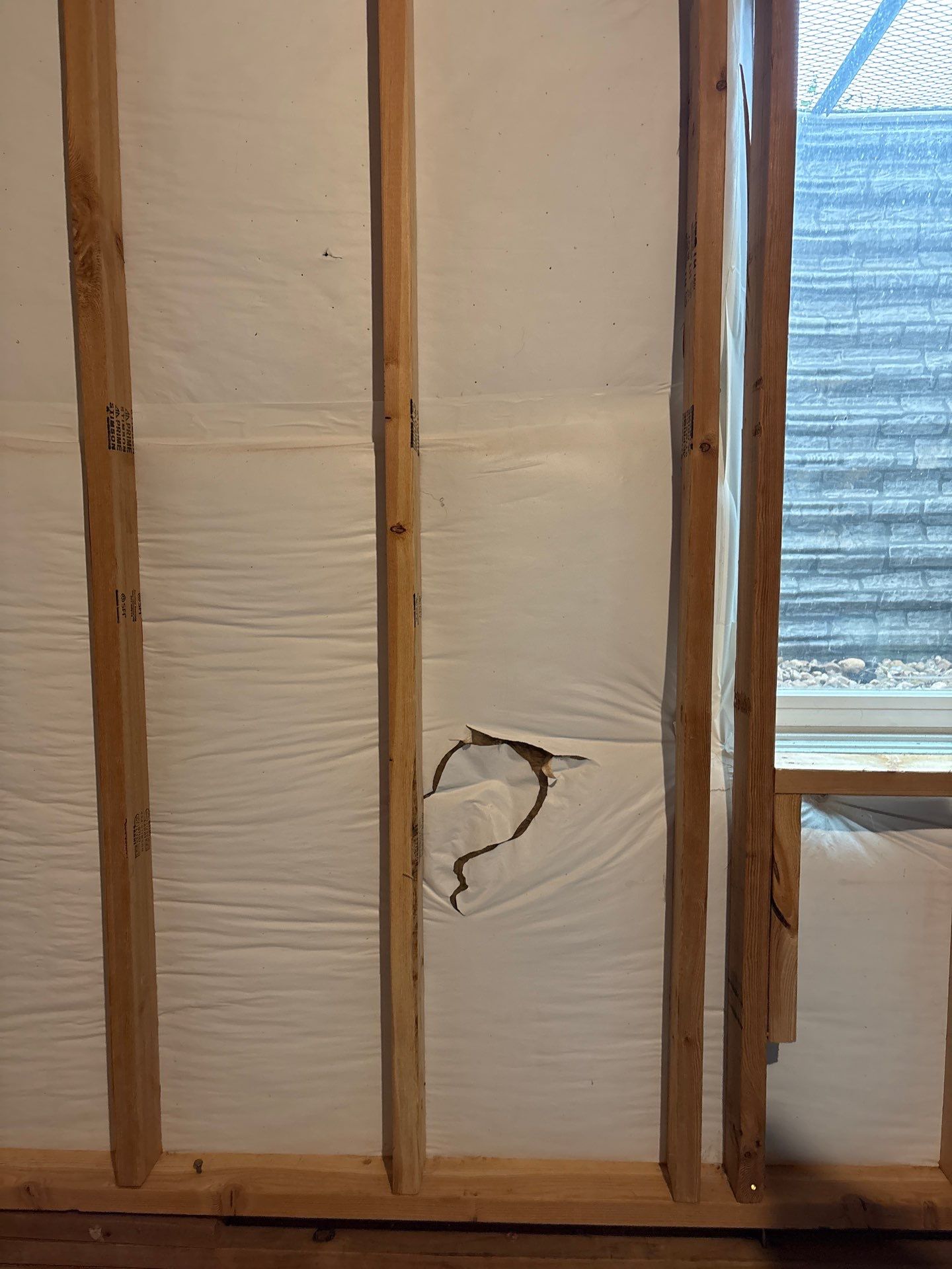 Basement Egress Window Installation and Framing in Wellington by CompanyCam Sales Demo
