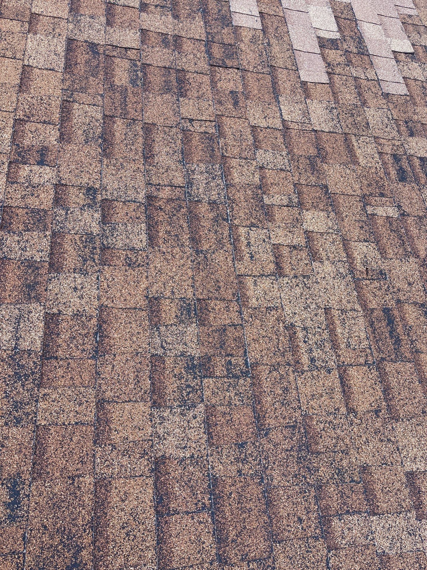 Roof Rejuvenation using Roof Maxx Treatment by Roof Maxx of Folsom