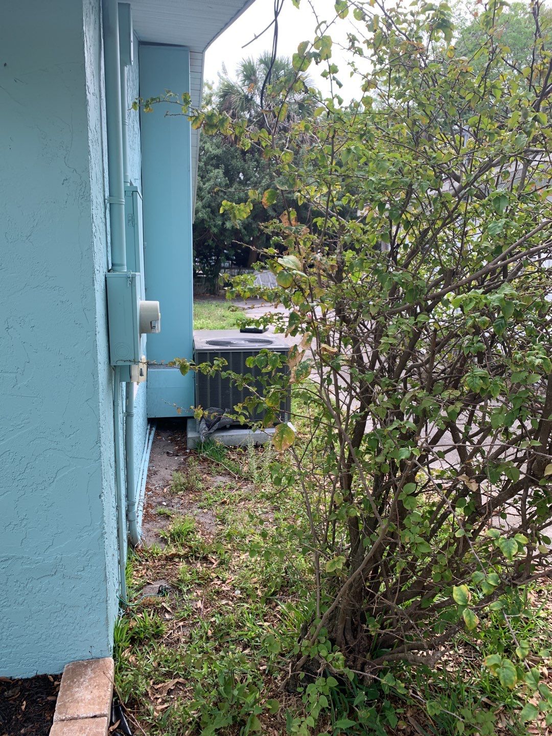 Sarasota, FL 6ft. Tall Treated Board on Board Privacy Fence  by Asap fence and gates, LLC