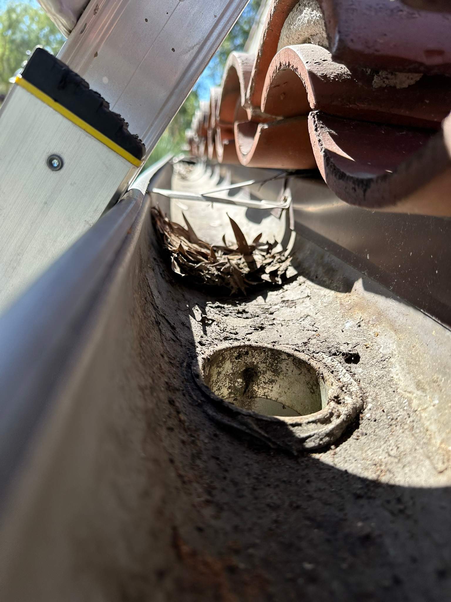 Orange County Gutter Cleaning by Property Cleaning Experts