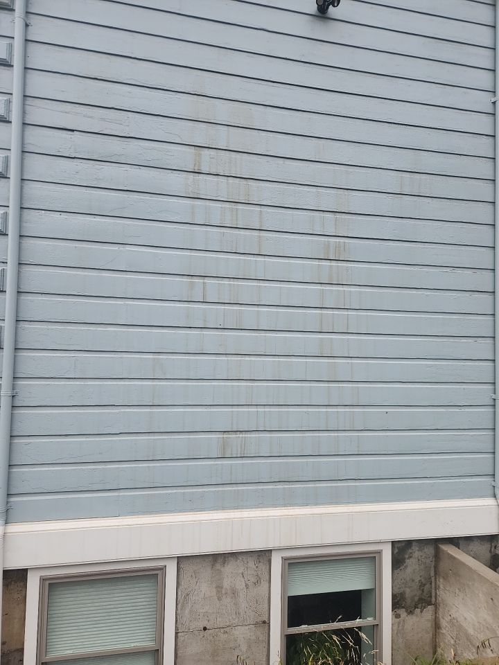 Soft Wash by Willamette Outdoor Wash LLC