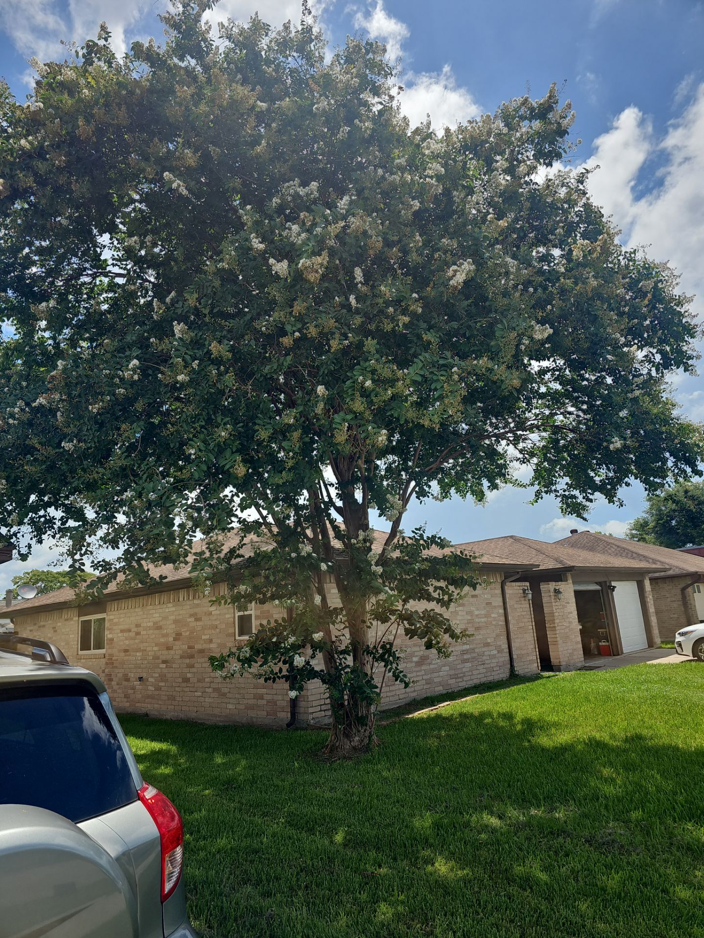 Residential Roofing Repair using Owen's Corning Duration (Lifetime) Shingles by Roof Repair Services LLC
