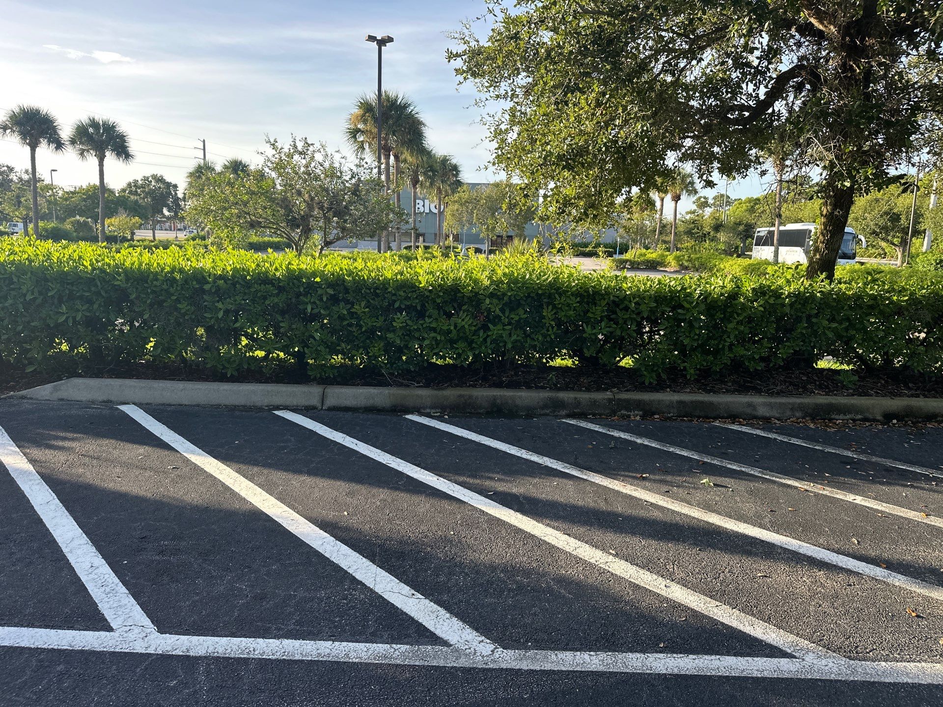 🛏️ City Mattress Refresh — Jensen Beach by Alpha Zeta Enterprises Inc