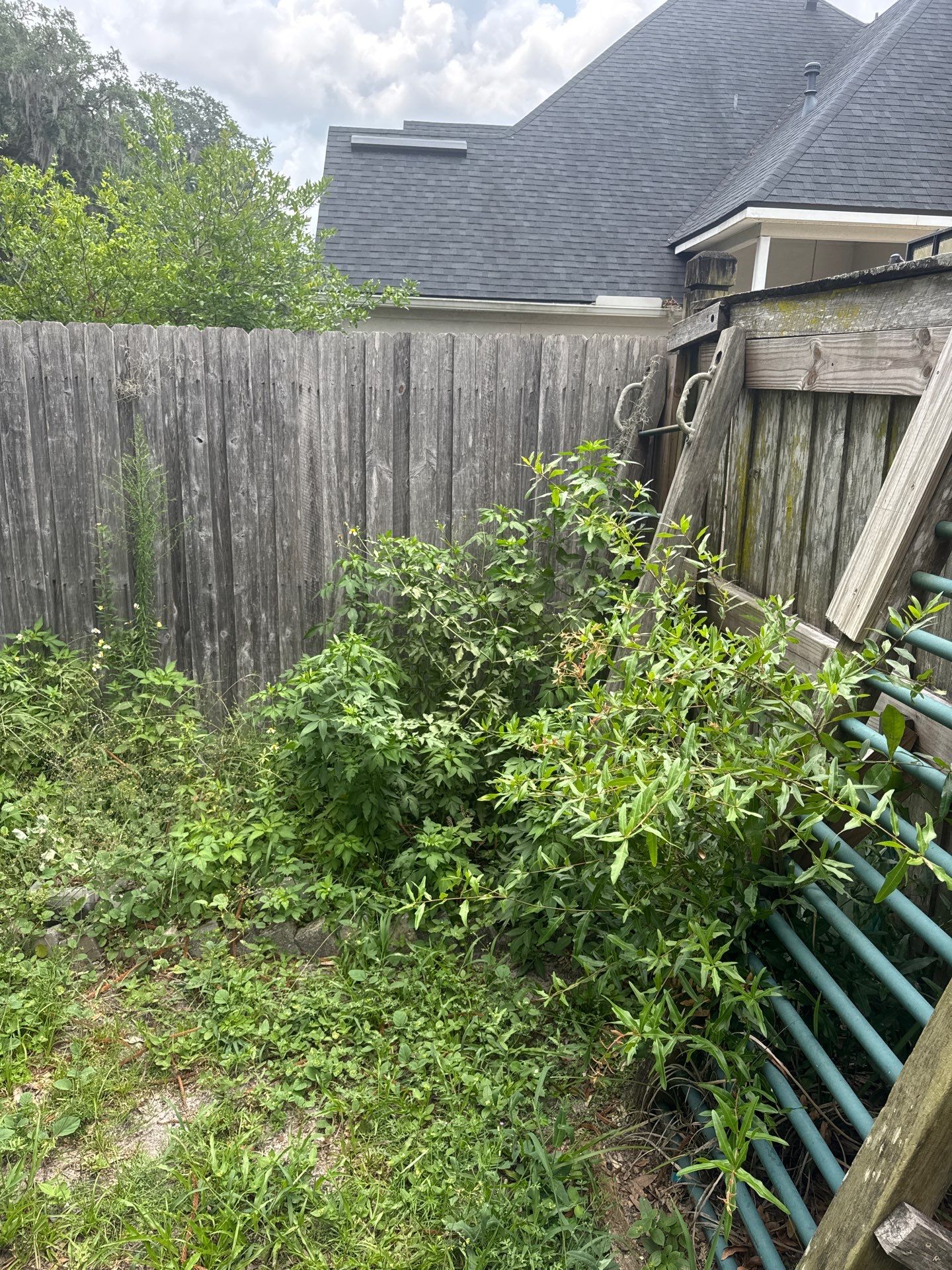 Residential | Clean-Up & Mulch Install by ProGreen Services