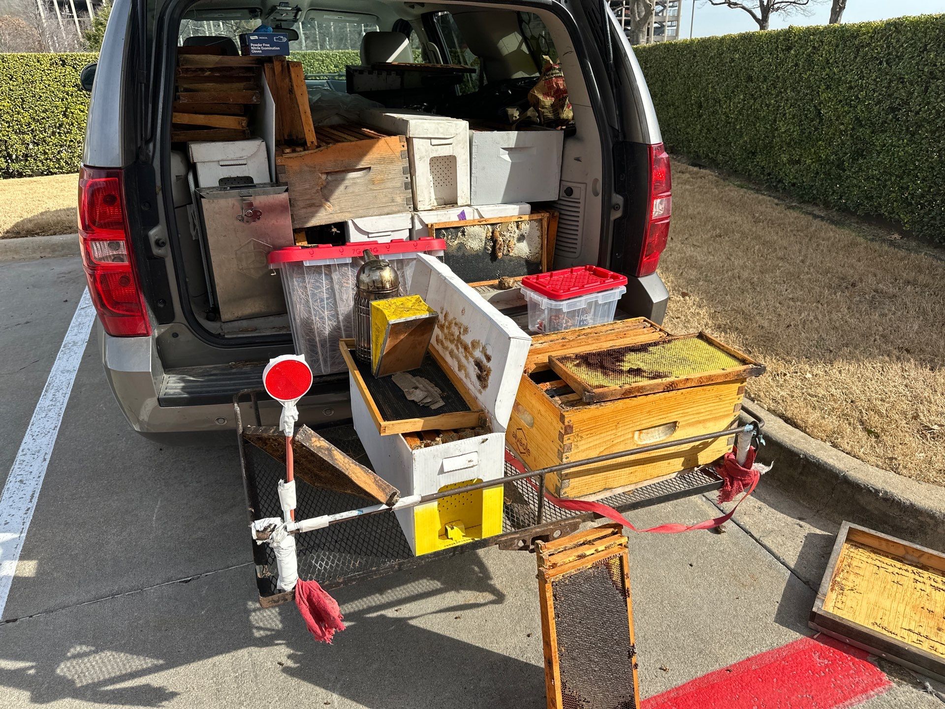 Richdardson Corporate Bees by Rockwall Honey Bee Company