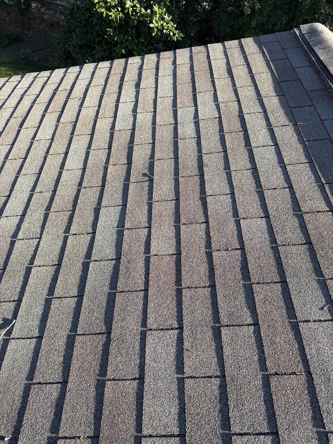 Residential Roof Replacement using TAMKO Titan XT Rustic Black by RISE Roofing & Restoration, LLC