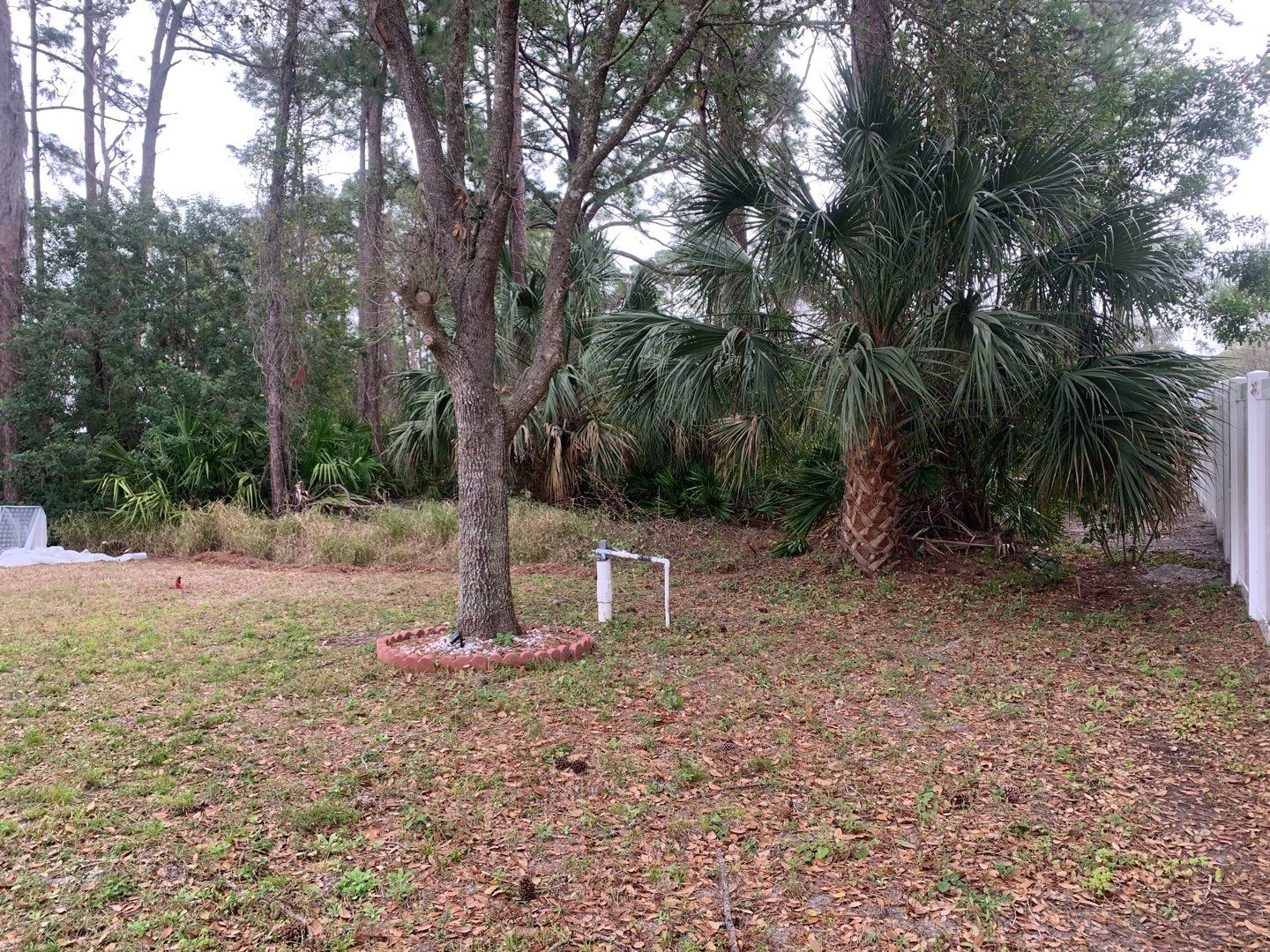 North Port, FL 6ft. Tall White Vinyl Privacy Fence by Asap fence and gates, LLC