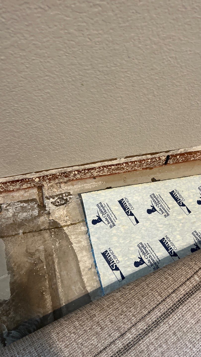 Mold Remediation  by Accountable Home Services