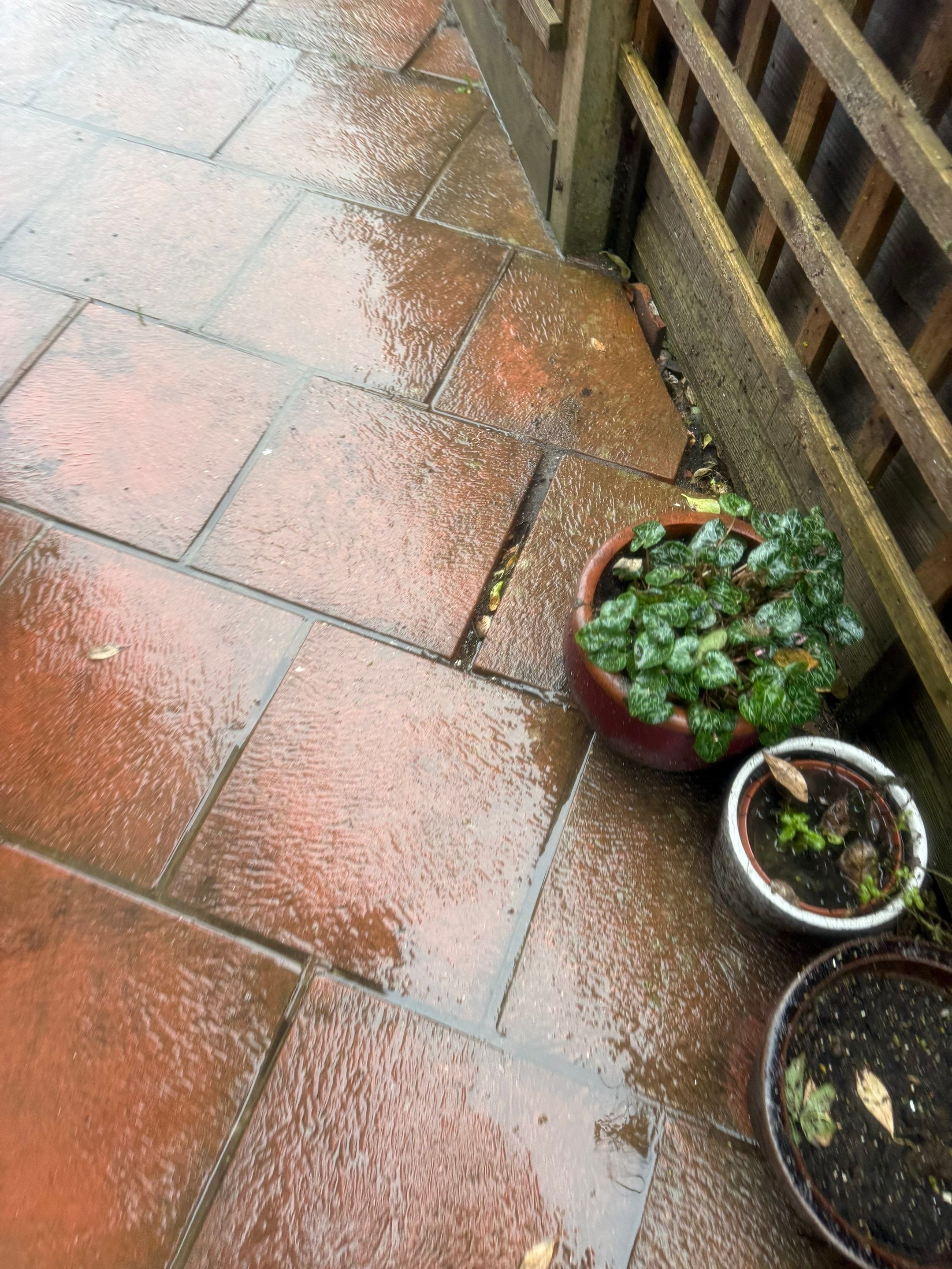 Roof and Patio Clean Bognor Regis by Ges Exterior Cleaning ltd