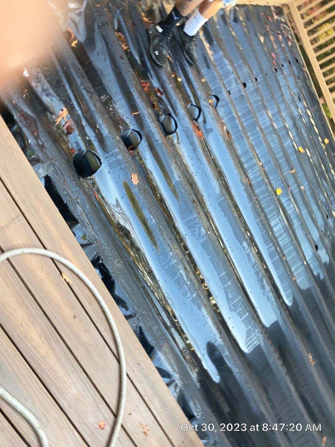 Burke: Multi-Trade Tree Damage Restoration by RM Banning, Inc.