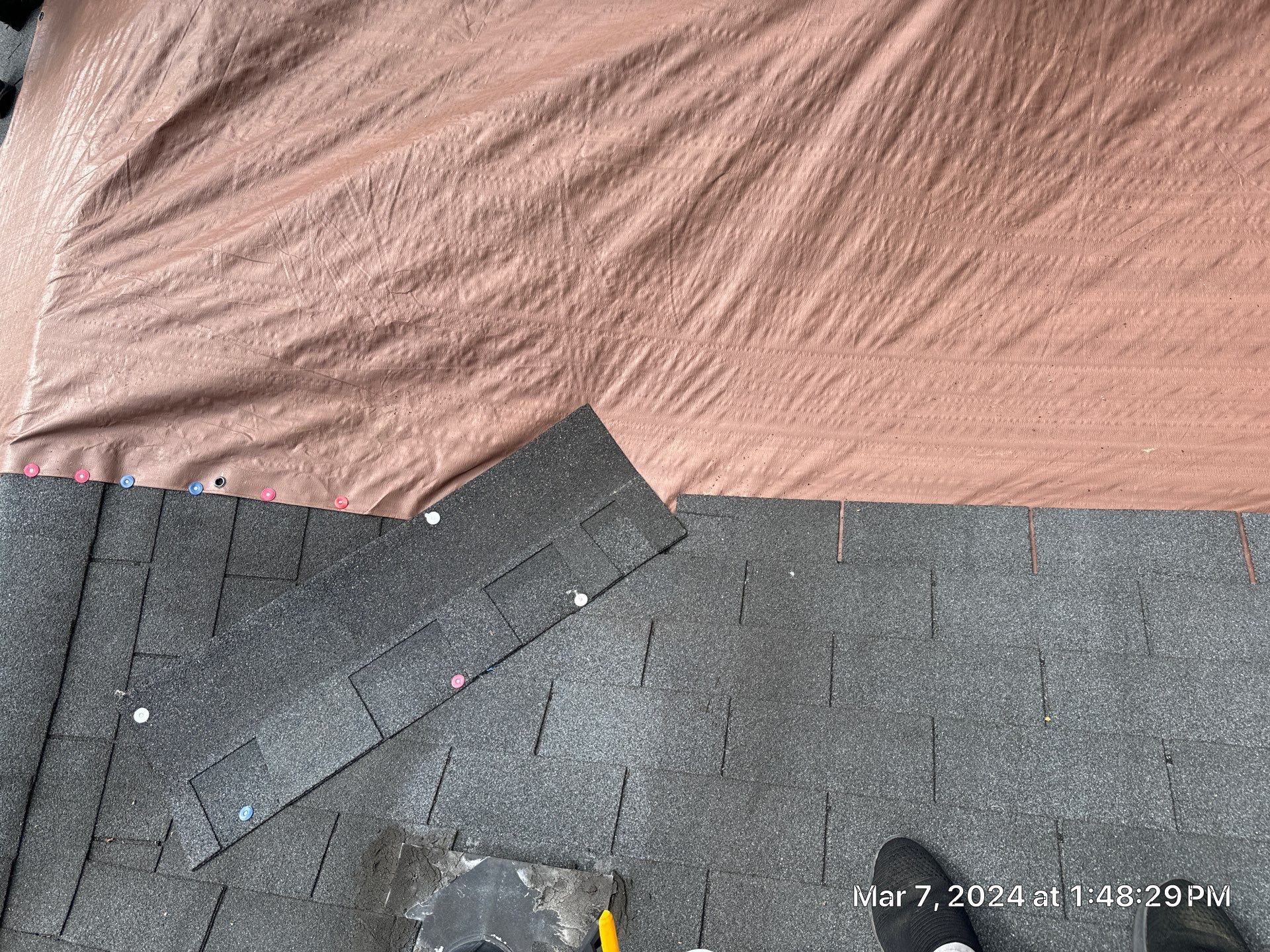 Superior Roofing Solutions: Atlas Pinnacle Pristine Installation by Talya Roofing