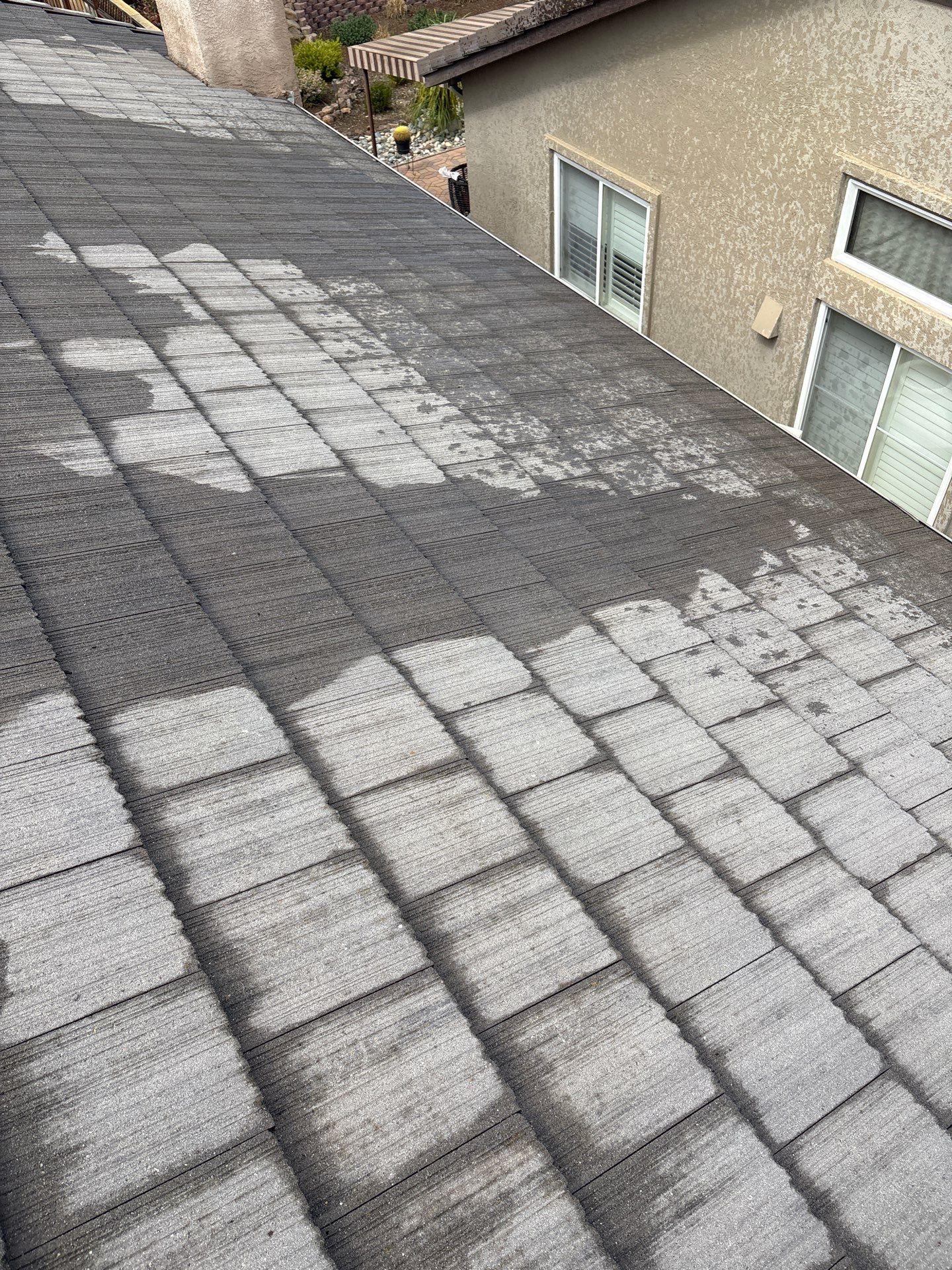 Moss Removal by Top Elevation